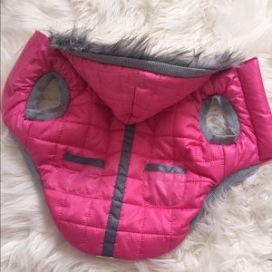 🐶 Adorable dog jacket